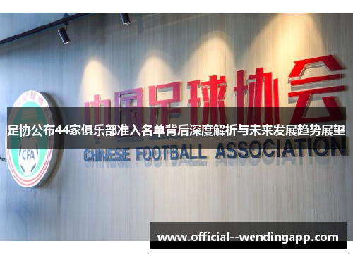 足协公布44家俱乐部准入名单背后深度解析与未来发展趋势展望