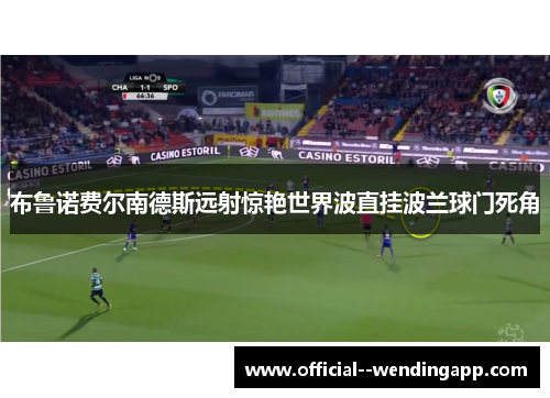 布鲁诺费尔南德斯远射惊艳世界波直挂波兰球门死角