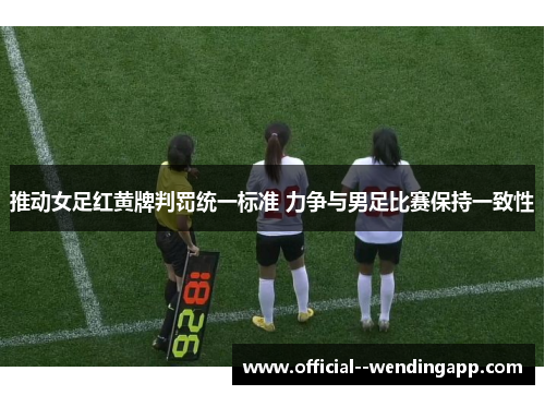 推动女足红黄牌判罚统一标准 力争与男足比赛保持一致性