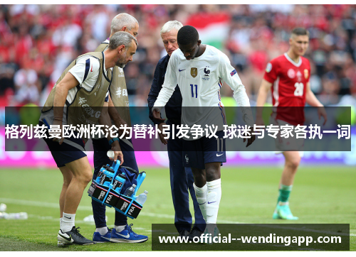 格列兹曼欧洲杯沦为替补引发争议 球迷与专家各执一词