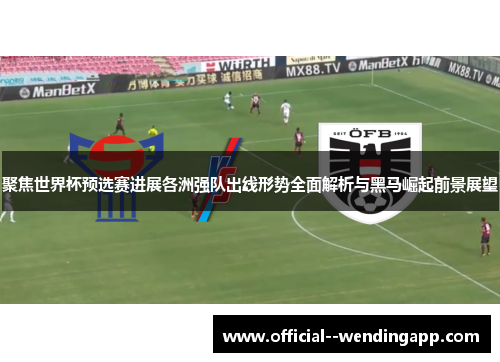 聚焦世界杯预选赛进展各洲强队出线形势全面解析与黑马崛起前景展望
